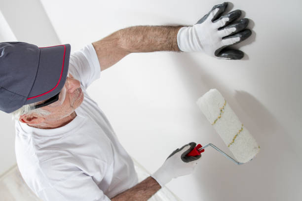 Best Basement Mold Removal  in Rushford, MN
