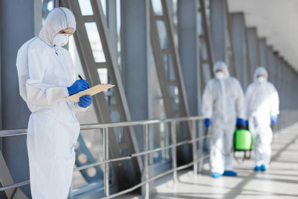 Best Black Mold Removal  in Rushford, MN