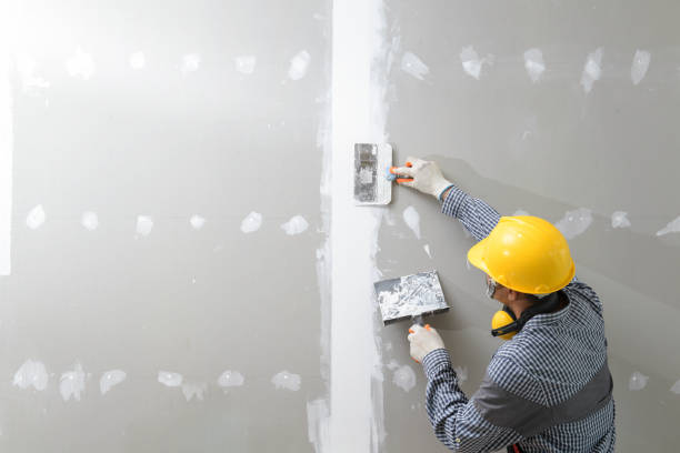 Best Mold Remediation for Healthcare Facilities  in Rushford, MN