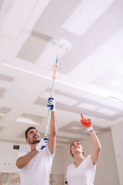 Best Biohazard Mold Removal  in Rushford, MN