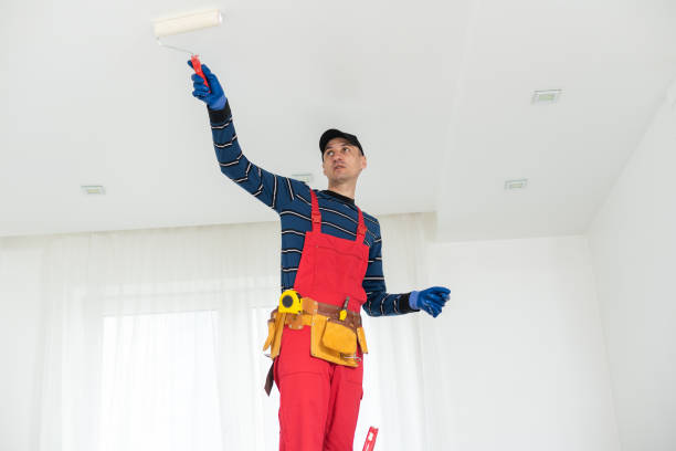 Best Post-Construction Mold Inspection  in Rushford, MN