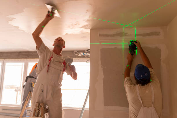 Mold Remediation for Rental Properties in Rushford, MN