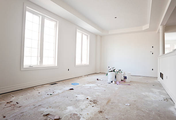 Best Mold Odor Removal Services  in Rushford, MN