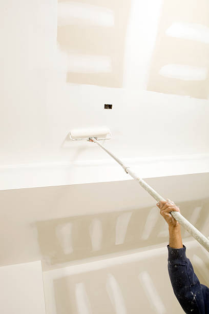 Best Residential Mold Inspection & Testing  in Rushford, MN